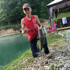 Meet your Posher, Tristen